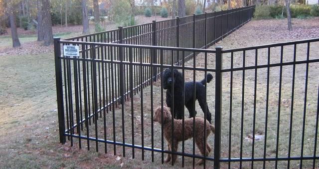are aluminum fences good for dogs
