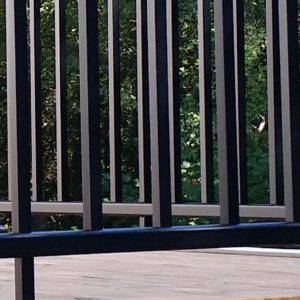 aluminum-deck-railing