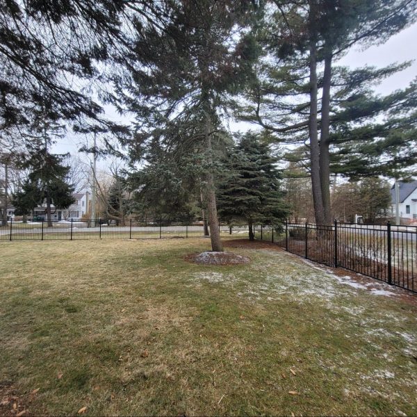 Metal Fences Hamilton