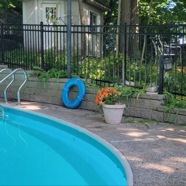 Swimming Pool Fence Pool Enclosure-4